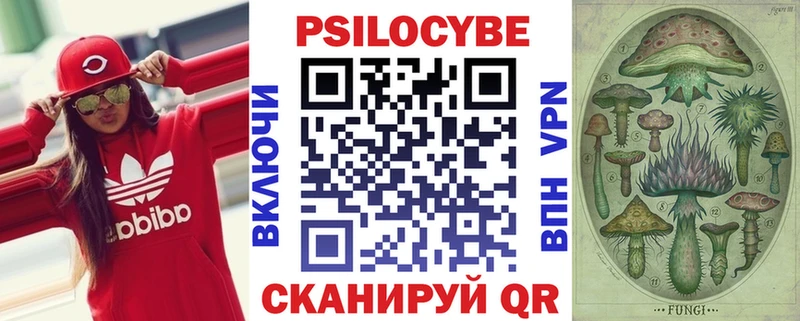 Псилоцибиновые грибы Magic Shrooms  что такое   Хвалынск 